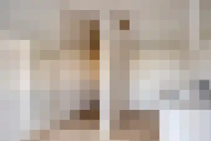 Helkantsedijk 22 Hooge Zwaluwe thumbnail 35