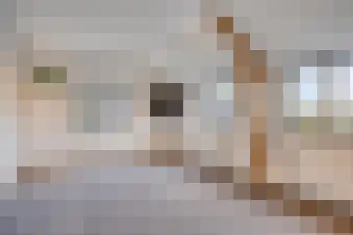 Helkantsedijk 22 Hooge Zwaluwe thumbnail 36