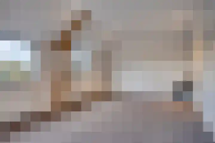 Helkantsedijk 22 Hooge Zwaluwe thumbnail 37