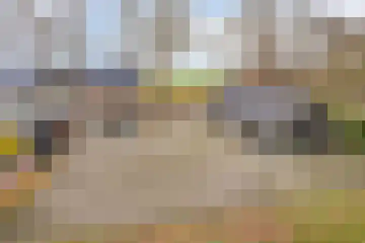 Helkantsedijk 22 Hooge Zwaluwe thumbnail 4