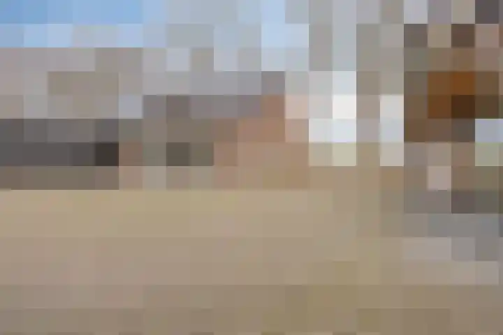 Helkantsedijk 22 Hooge Zwaluwe thumbnail 43