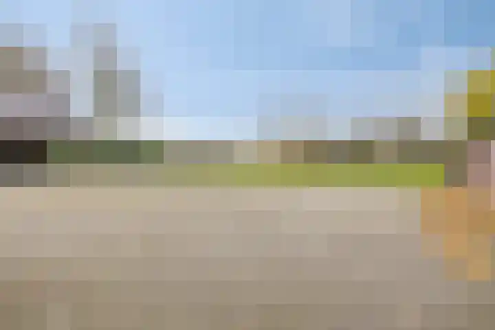 Helkantsedijk 22 Hooge Zwaluwe thumbnail 44