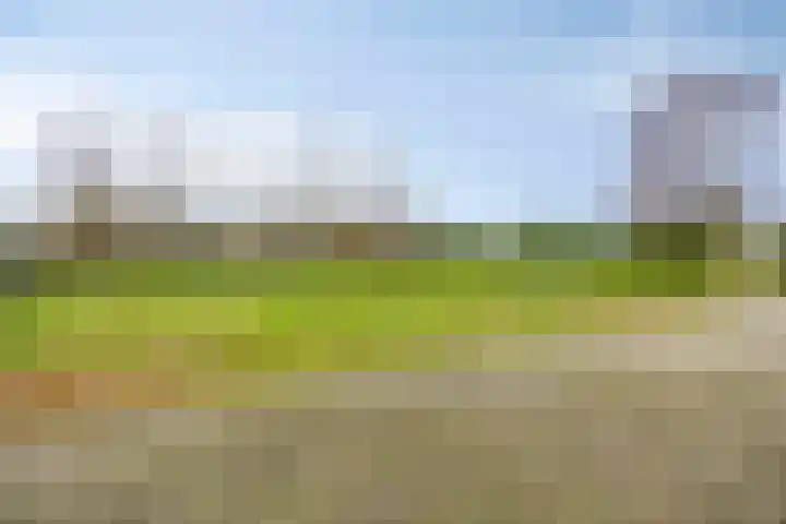 Helkantsedijk 22 Hooge Zwaluwe thumbnail 46