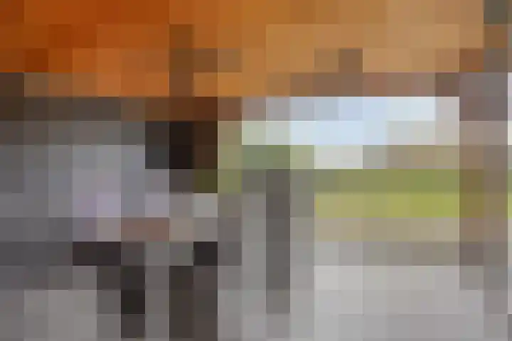 Helkantsedijk 22 Hooge Zwaluwe thumbnail 48