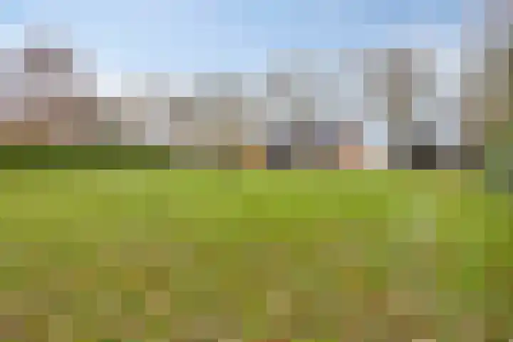 Helkantsedijk 22 Hooge Zwaluwe thumbnail 5