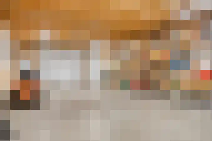 Helkantsedijk 22 Hooge Zwaluwe thumbnail 50
