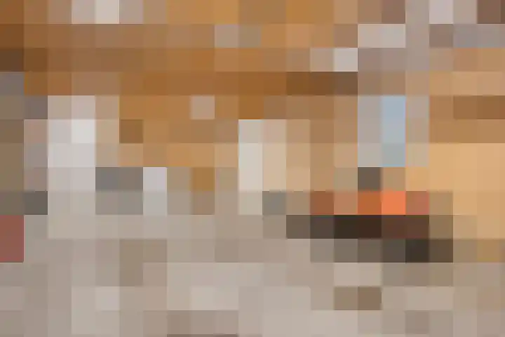 Helkantsedijk 22 Hooge Zwaluwe thumbnail 51