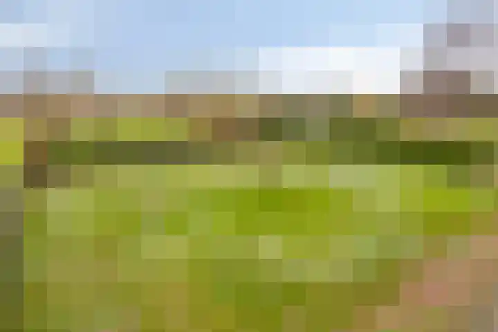 Helkantsedijk 22 Hooge Zwaluwe thumbnail 52