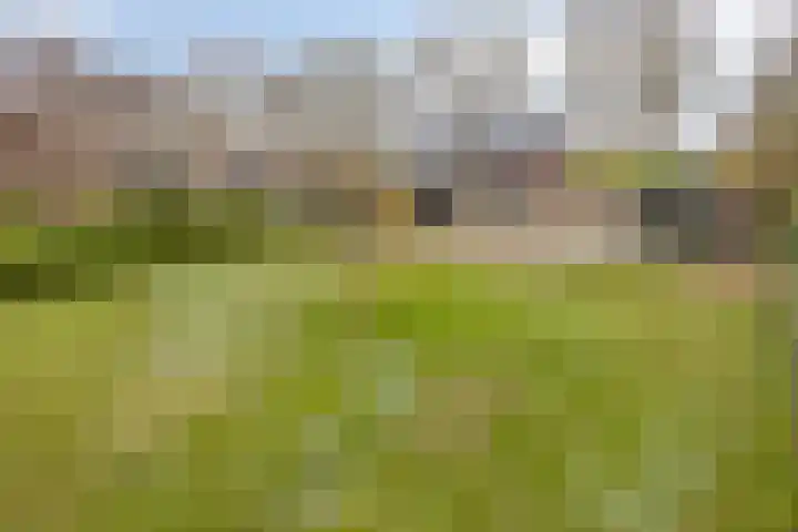 Helkantsedijk 22 Hooge Zwaluwe thumbnail 53