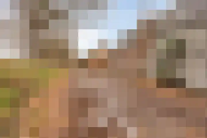 Helkantsedijk 22 Hooge Zwaluwe thumbnail 56
