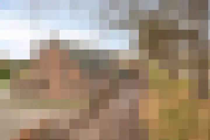 Helkantsedijk 22 Hooge Zwaluwe thumbnail 58
