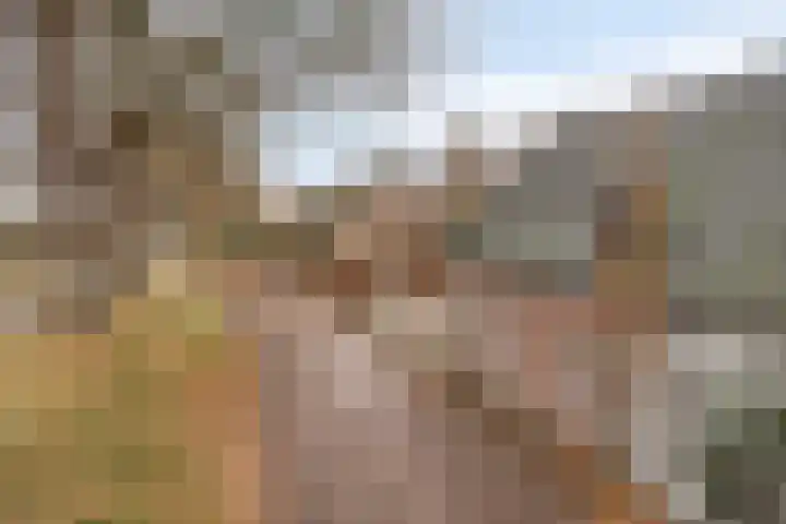 Helkantsedijk 22 Hooge Zwaluwe thumbnail 59