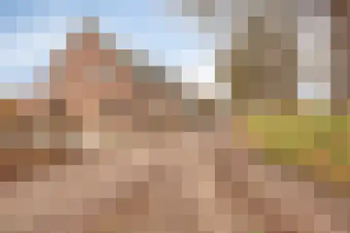Helkantsedijk 22 Hooge Zwaluwe thumbnail 6