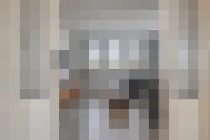 Helkantsedijk 22 Hooge Zwaluwe thumbnail 9