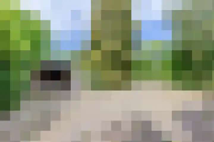 Helkantsedijk 28 A Hooge Zwaluwe thumbnail 43