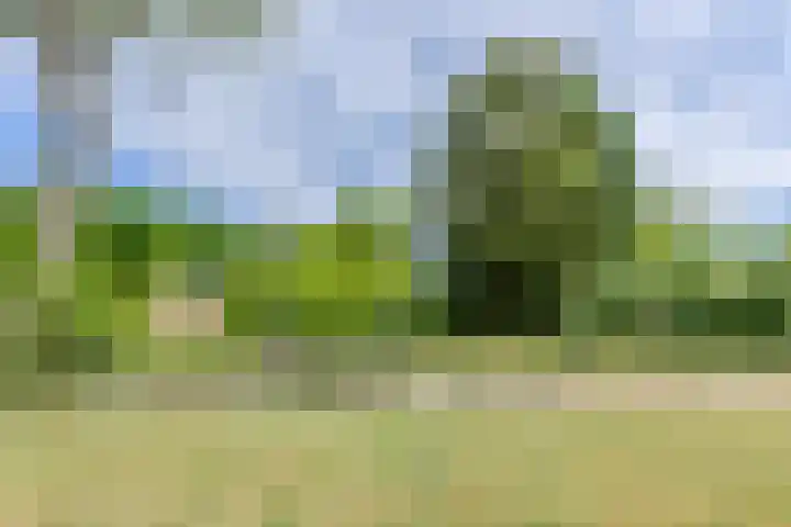 Helkantsedijk 28 A Hooge Zwaluwe thumbnail 50