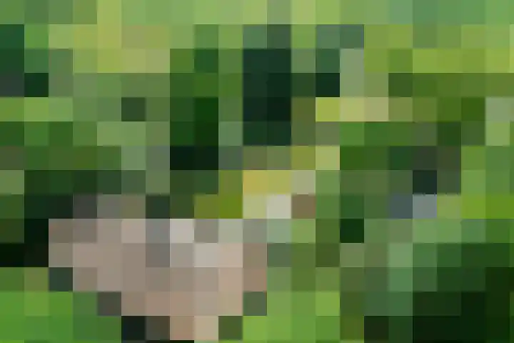 Helkantsedijk 28 A Hooge Zwaluwe thumbnail 52