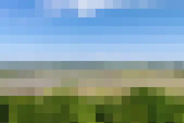 Helkantsedijk 28 A Hooge Zwaluwe thumbnail 55