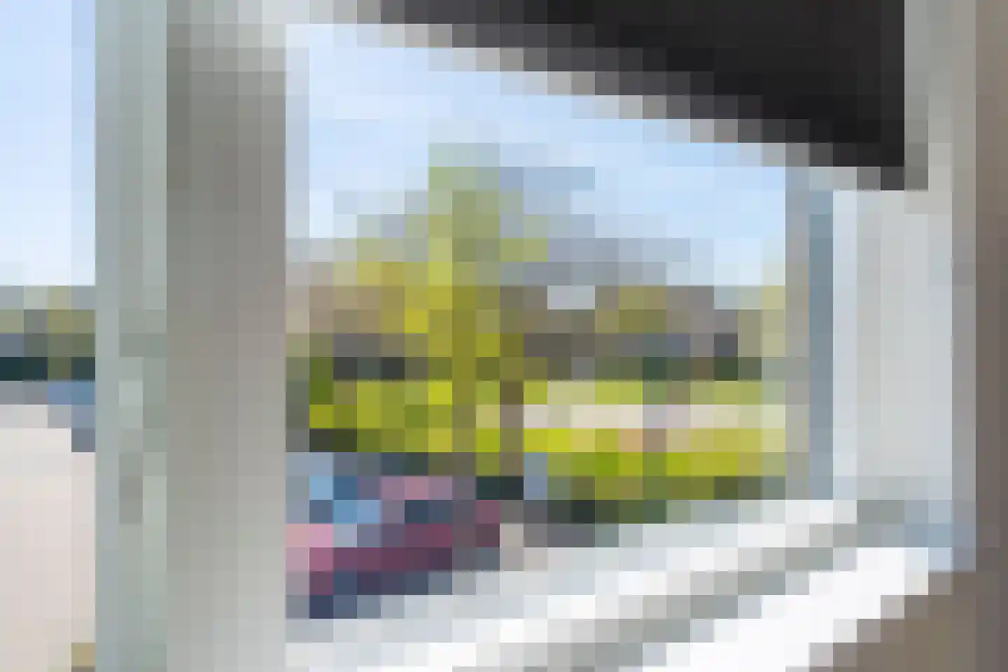 Hella Haasseplantsoen 15 Oegstgeest thumbnail 20
