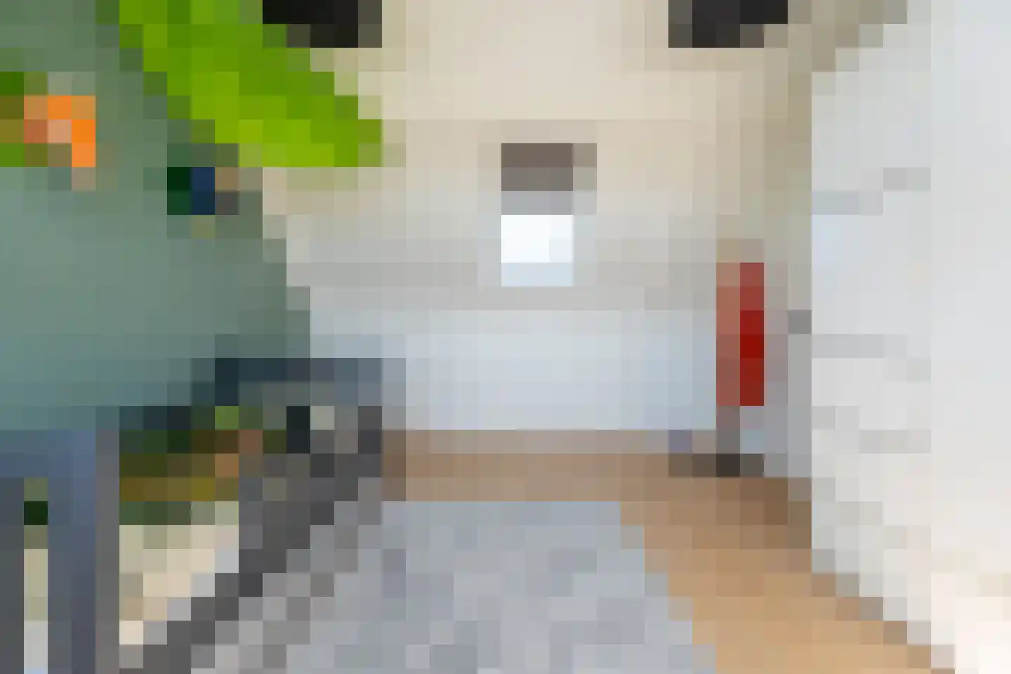 Hella Haasseplantsoen 15 Oegstgeest thumbnail 28