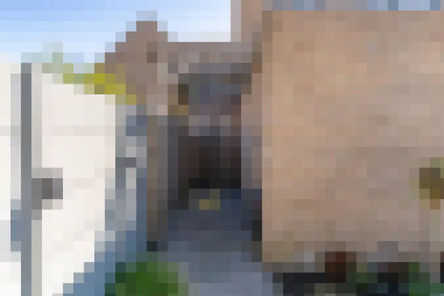 Hella Haasseplantsoen 15 Oegstgeest thumbnail 34