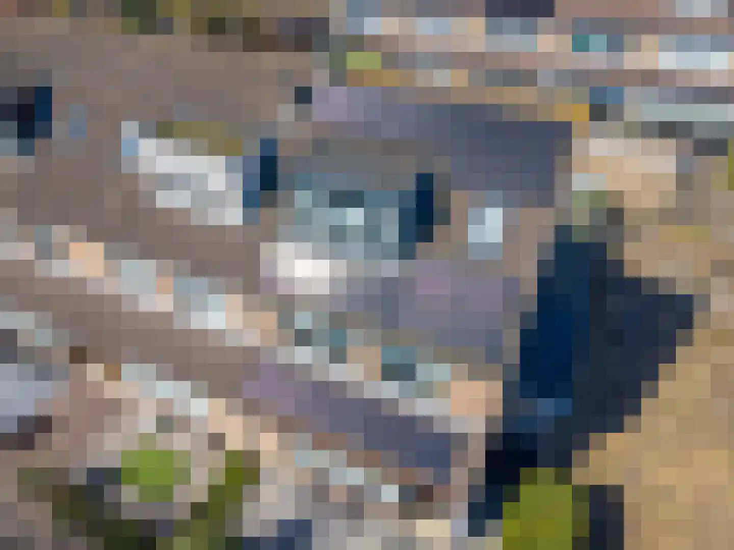 Hella Haasseplantsoen 15 Oegstgeest thumbnail 35