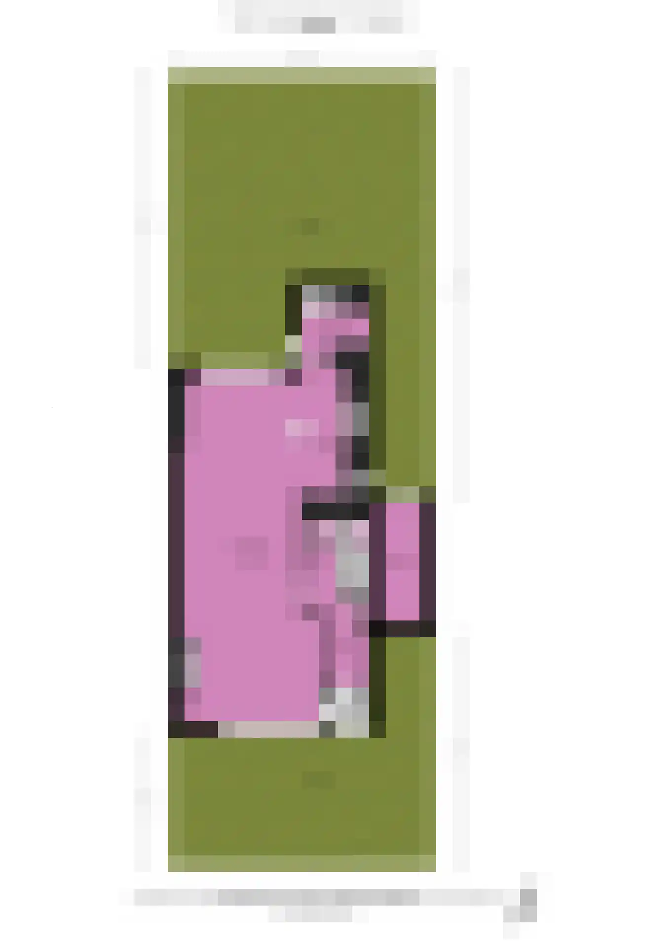 Hella Haasseplantsoen 15 Oegstgeest thumbnail 44