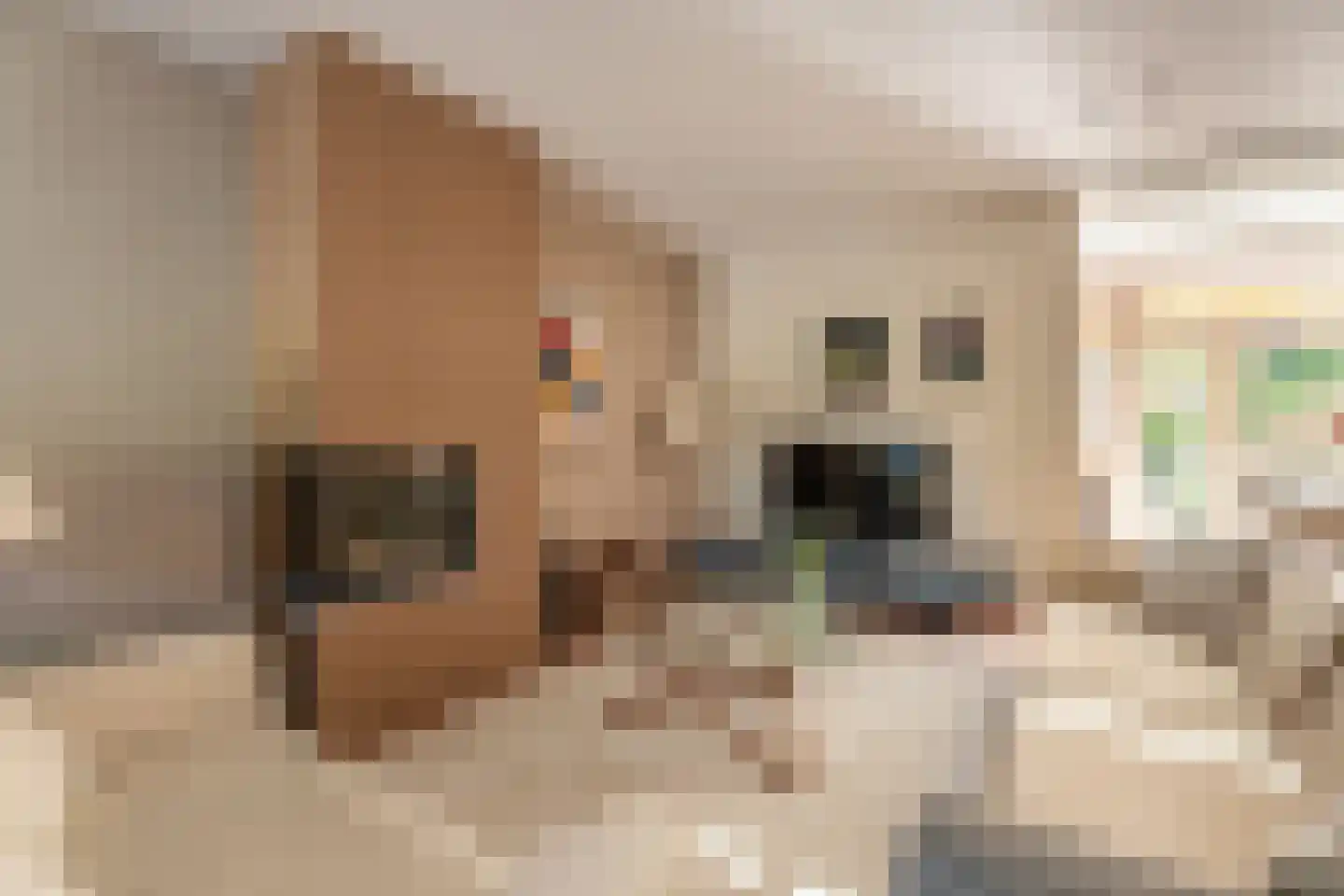 Hella Haasseplantsoen 24 Oegstgeest thumbnail 13