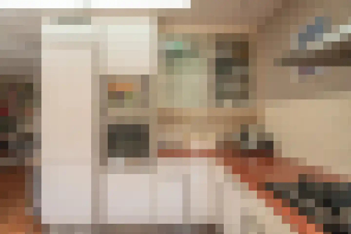 Hella Haasseplantsoen 24 Oegstgeest thumbnail 21