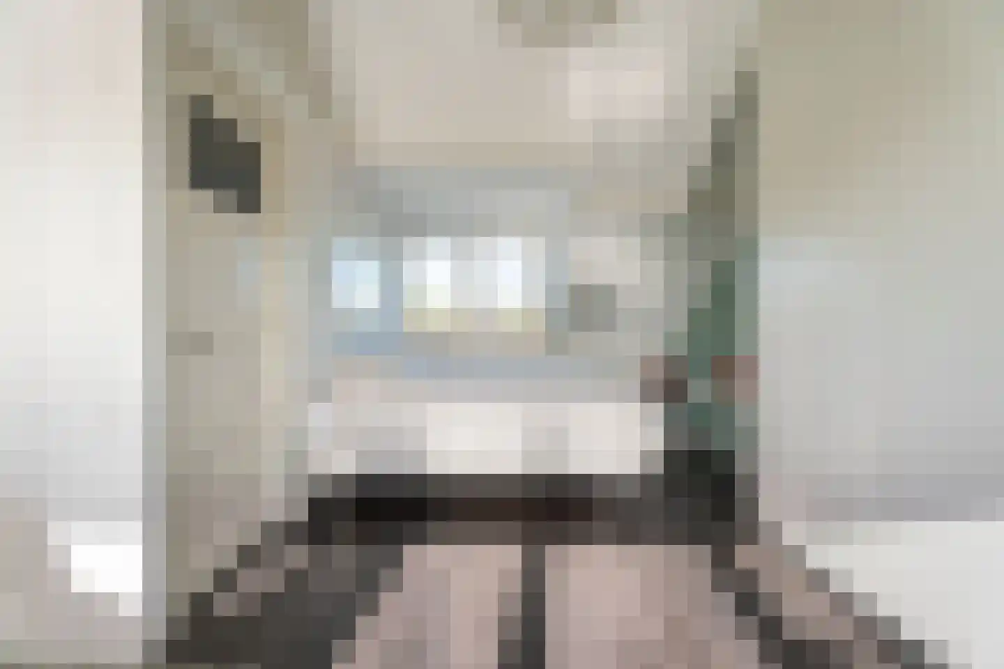 Hella Haasseplantsoen 24 Oegstgeest thumbnail 37