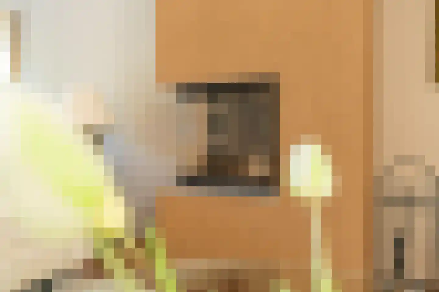 Hella Haasseplantsoen 24 Oegstgeest thumbnail 4