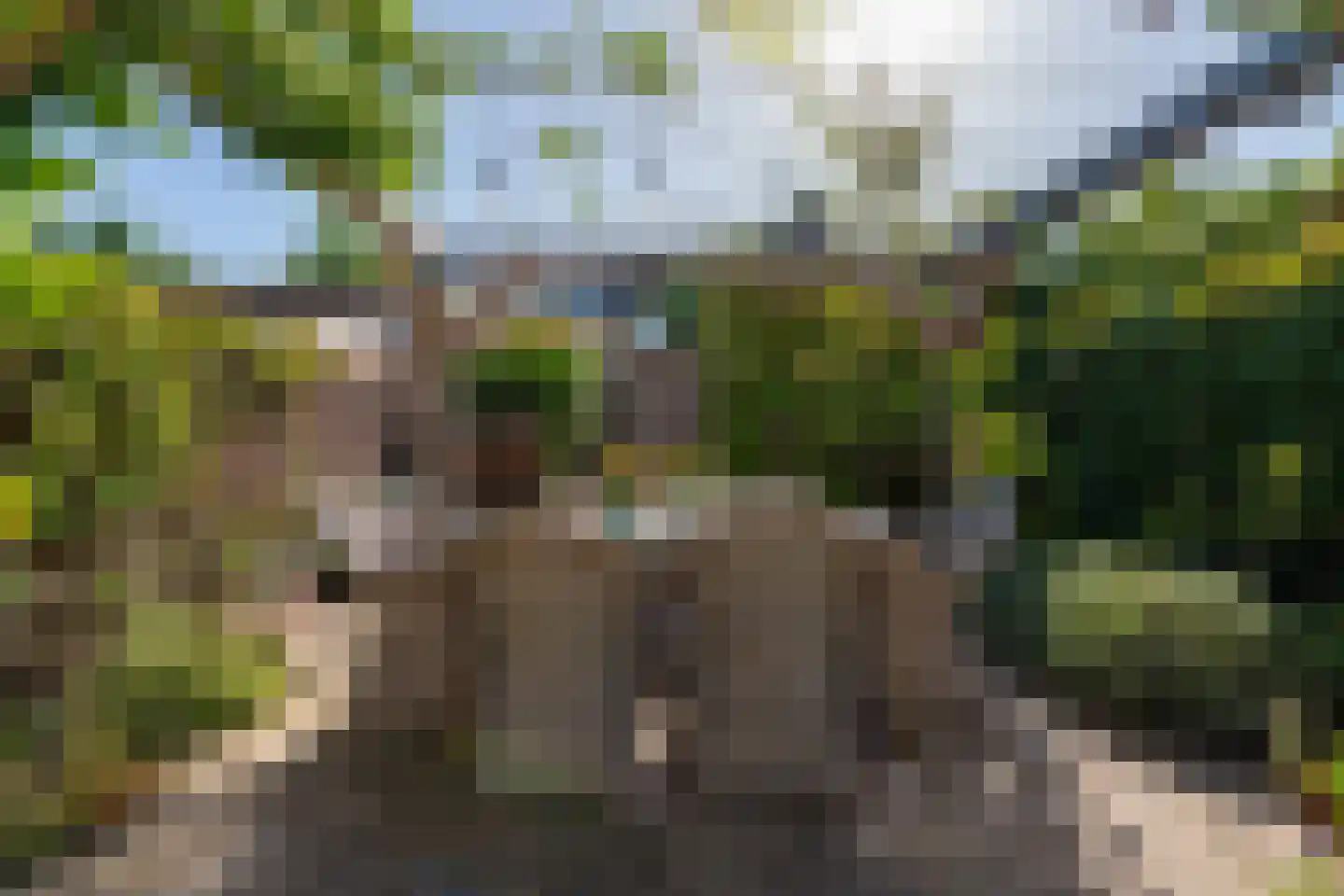 Hella Haasseplantsoen 24 Oegstgeest thumbnail 40