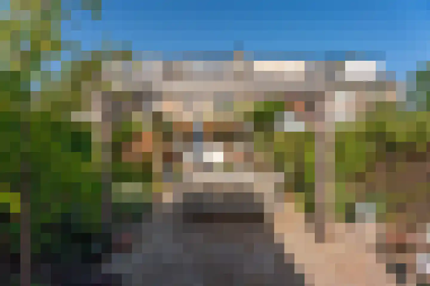 Hella Haasseplantsoen 24 Oegstgeest thumbnail 42