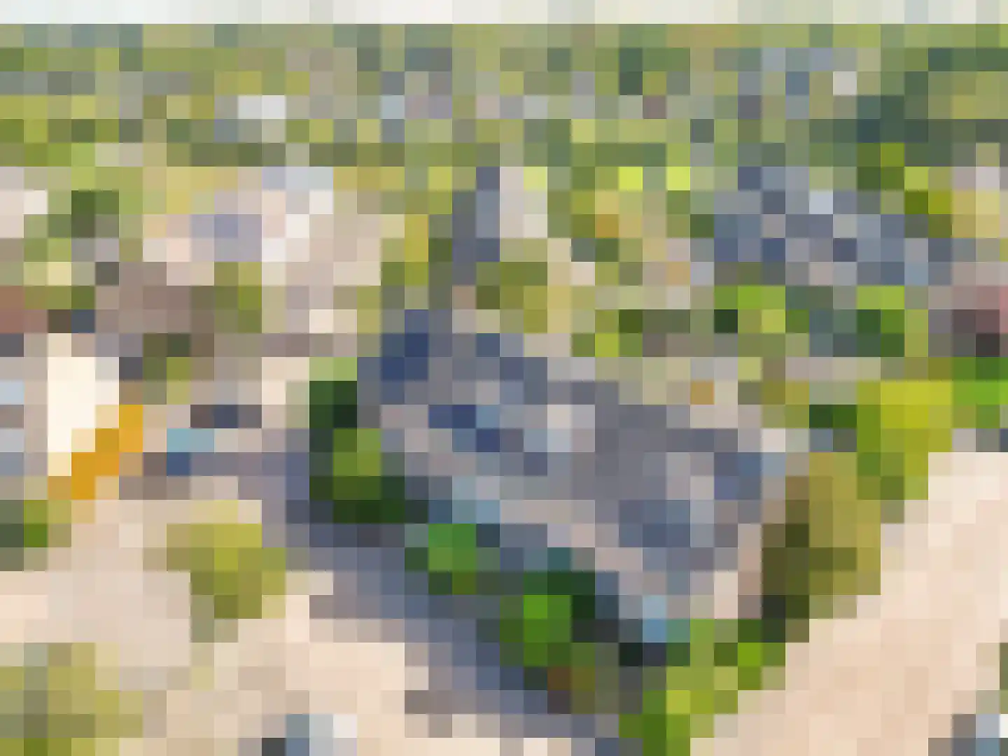 Hella Haasseplantsoen 24 Oegstgeest thumbnail 46