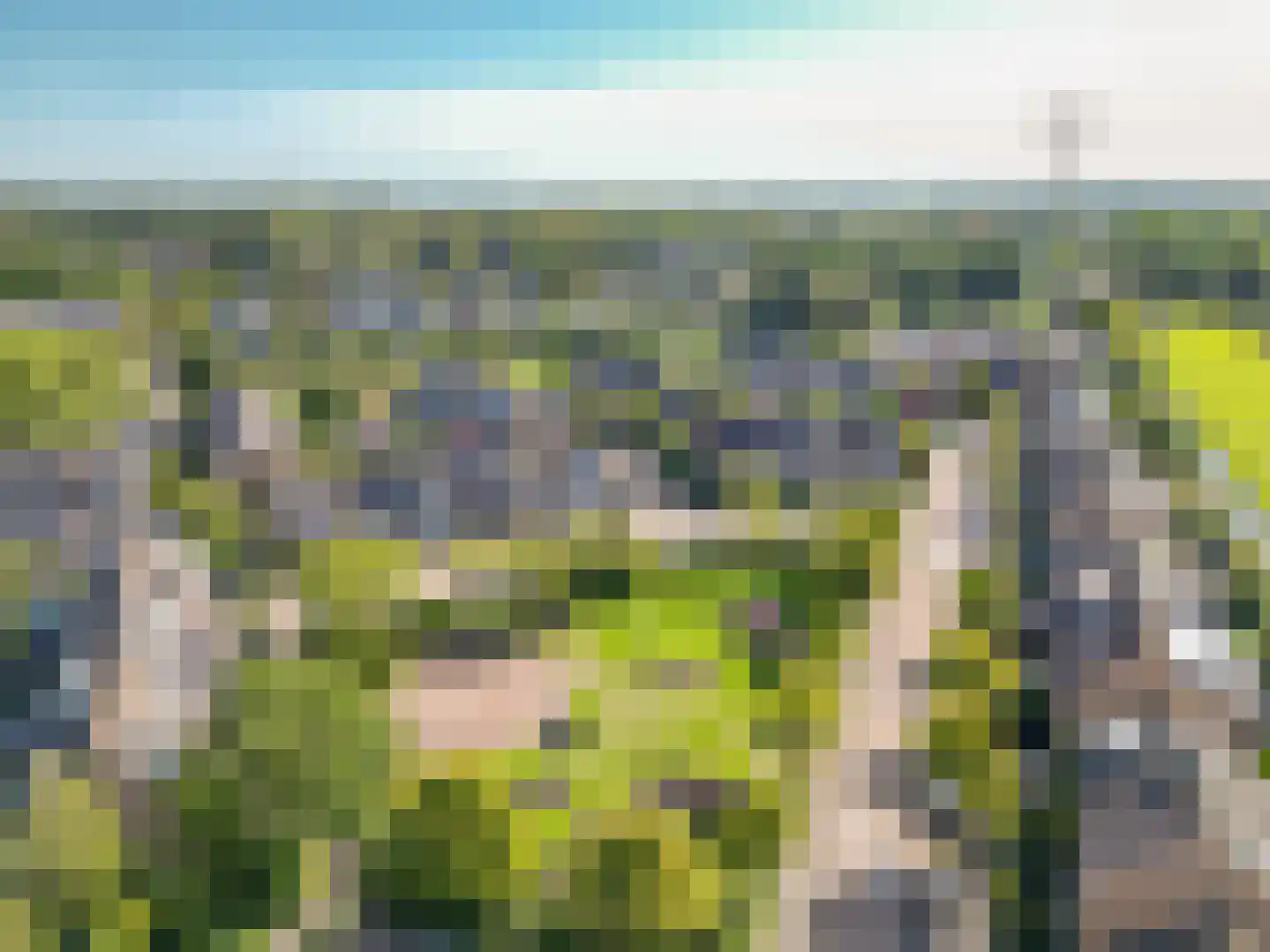 Hella Haasseplantsoen 24 Oegstgeest thumbnail 47