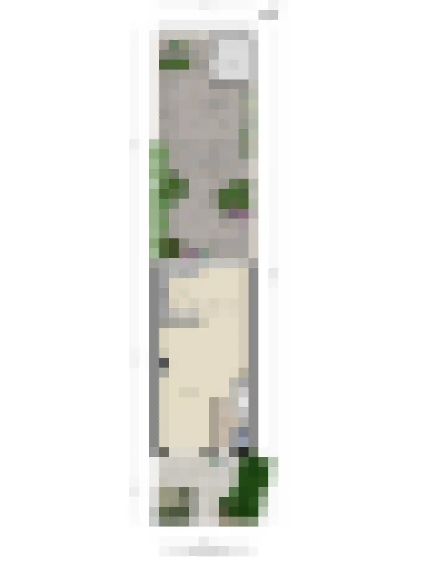 Hella Haasseplantsoen 24 Oegstgeest thumbnail 52