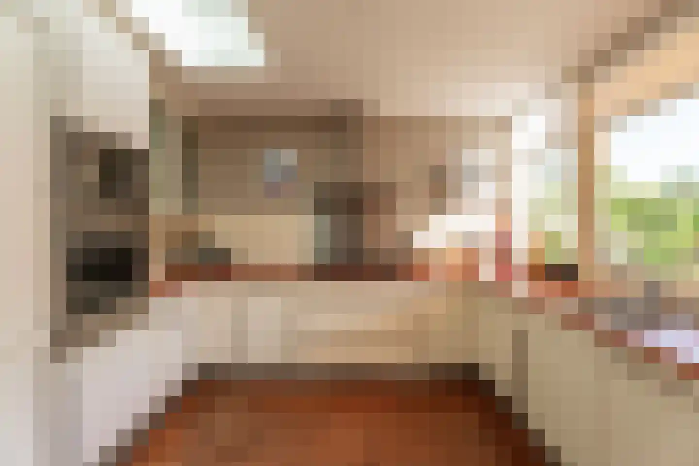 Hella Haasseplantsoen 24 Oegstgeest thumbnail 6