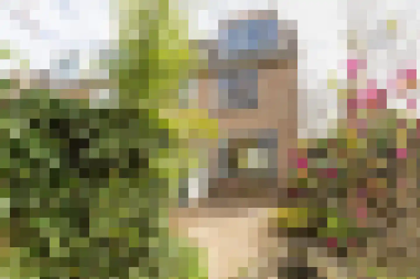 Hella Haasseplantsoen 9 Oegstgeest thumbnail 13