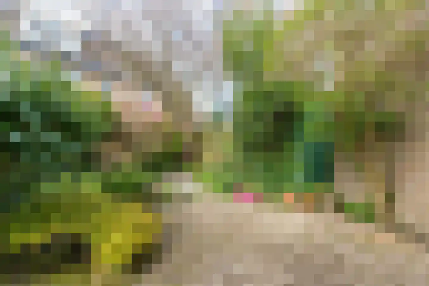Hella Haasseplantsoen 9 Oegstgeest thumbnail 14