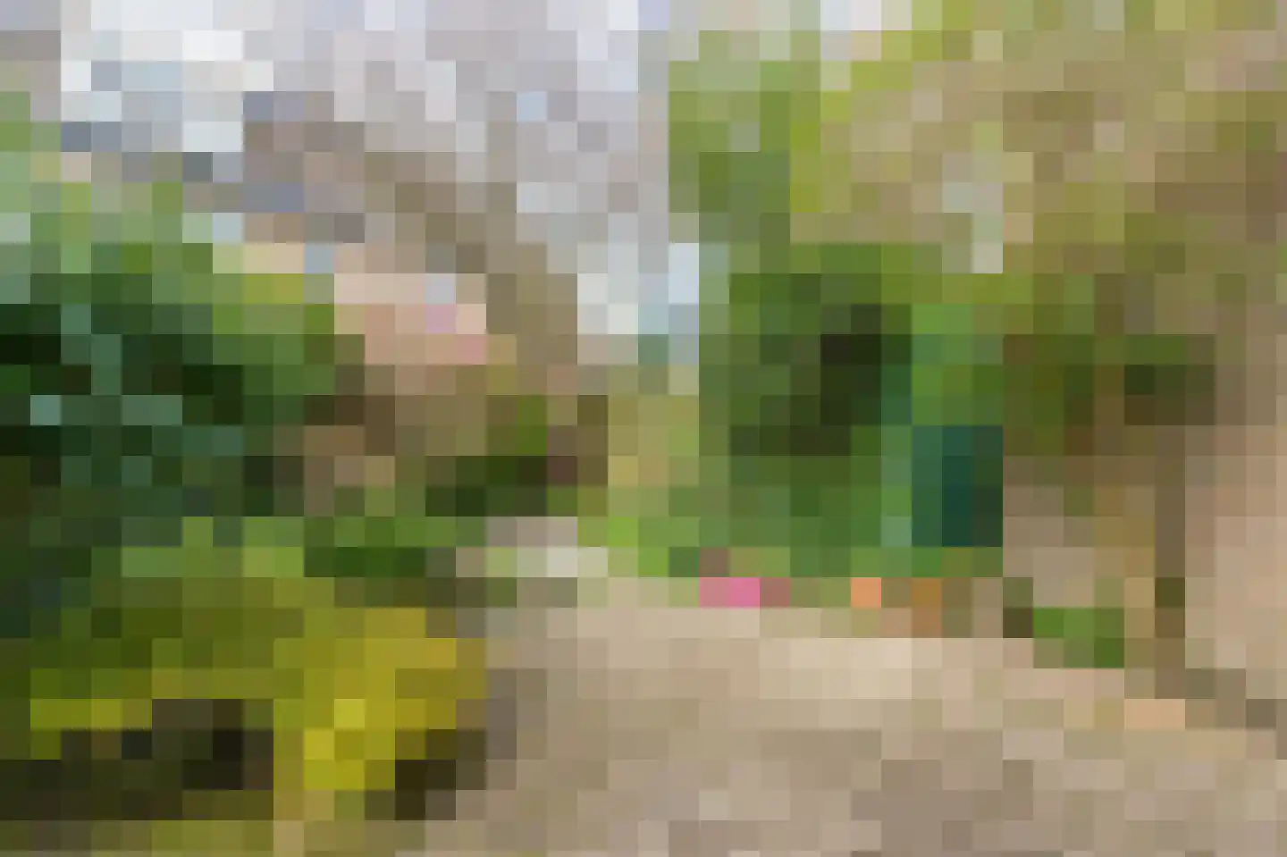 Hella Haasseplantsoen 9 Oegstgeest thumbnail 14