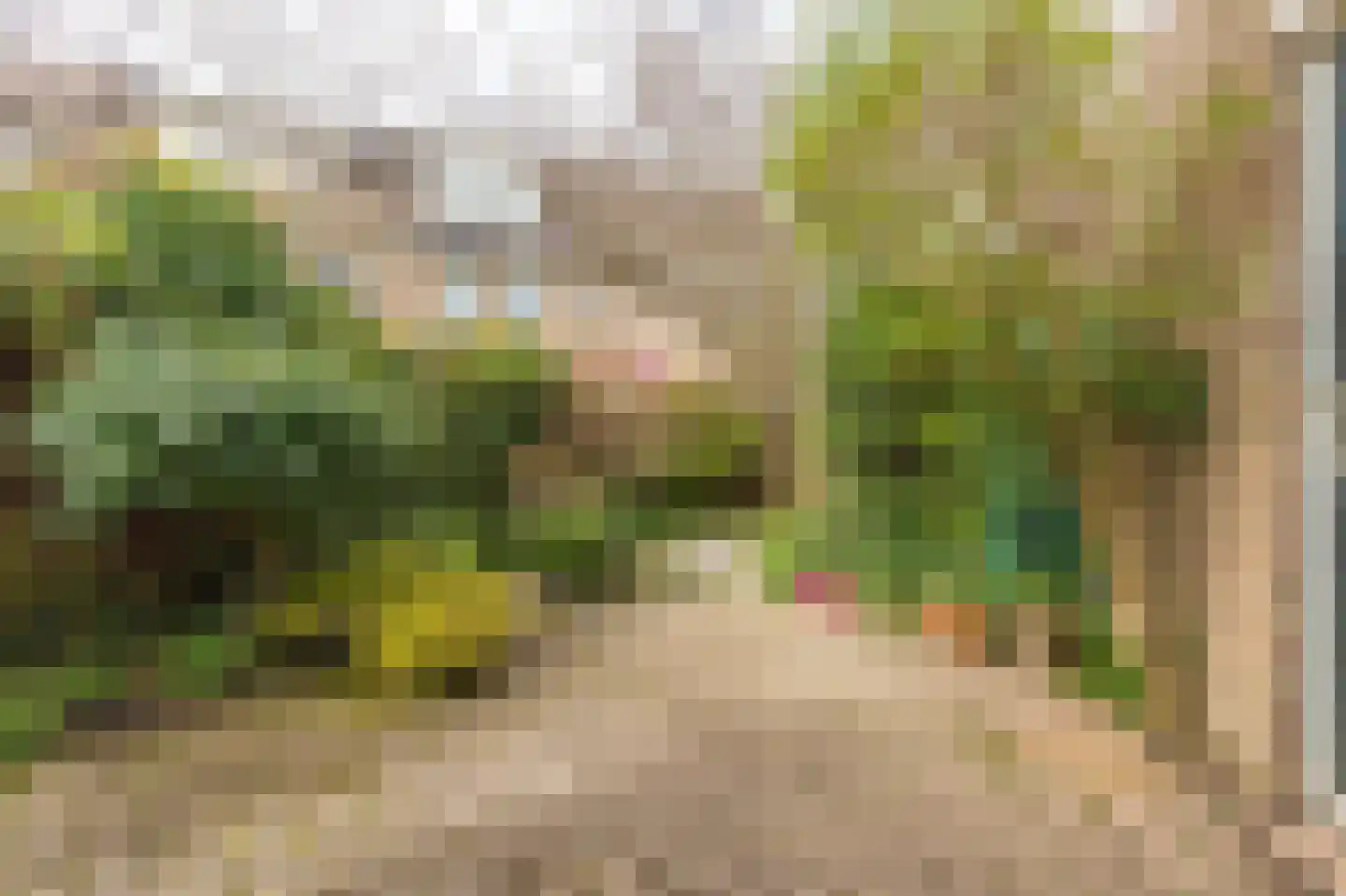 Hella Haasseplantsoen 9 Oegstgeest thumbnail 15