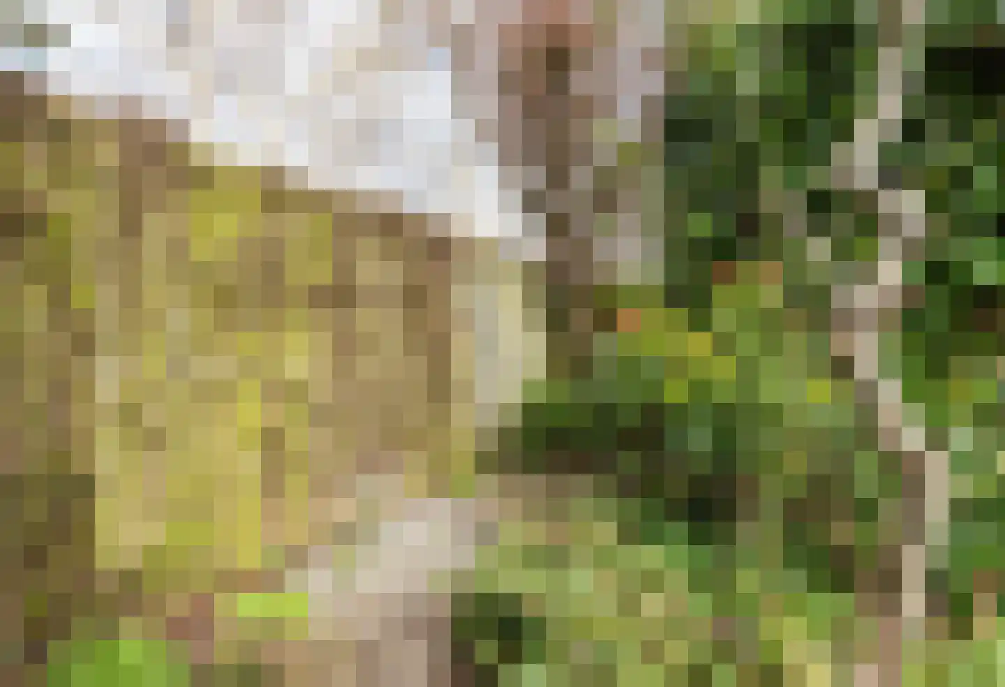 Hella Haasseplantsoen 9 Oegstgeest thumbnail 16