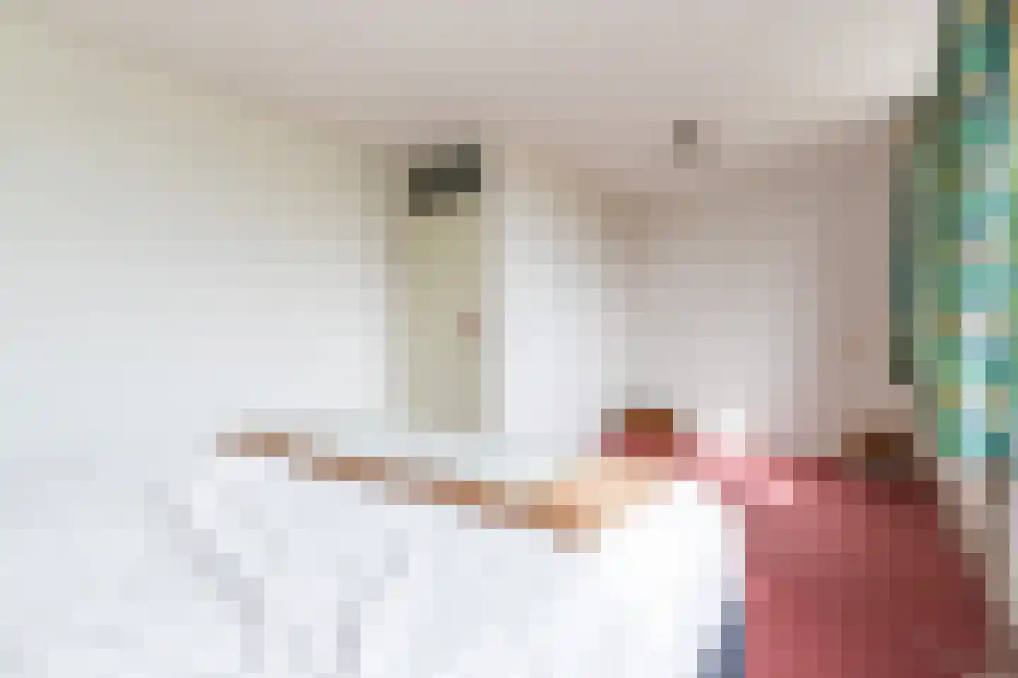 Hella Haasseplantsoen 9 Oegstgeest thumbnail 21