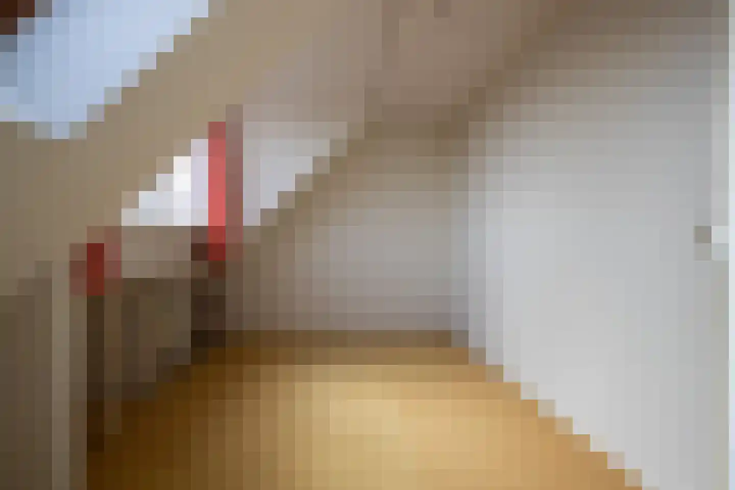 Hella Haasseplantsoen 9 Oegstgeest thumbnail 30