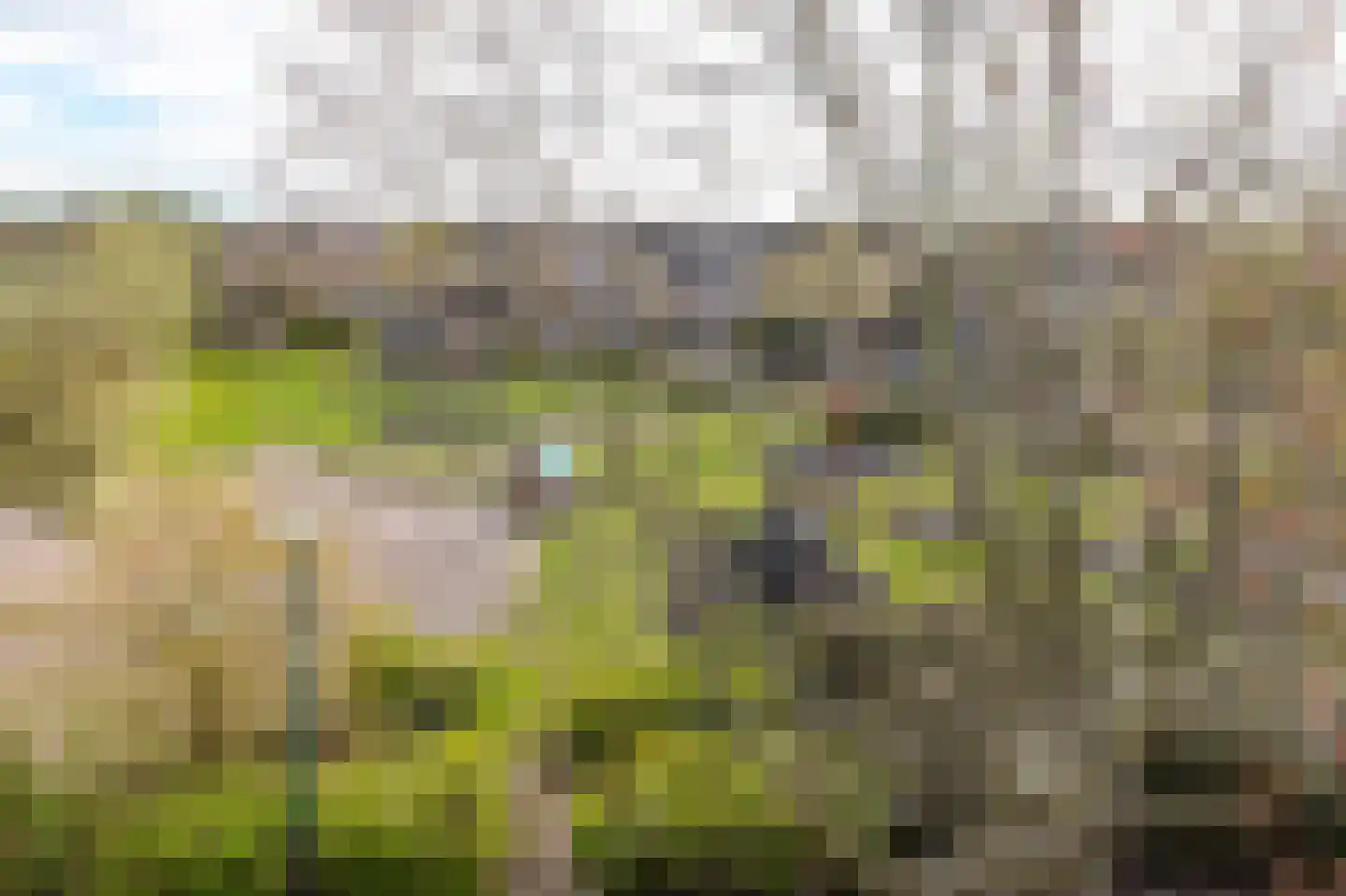 Hella Haasseplantsoen 9 Oegstgeest thumbnail 31