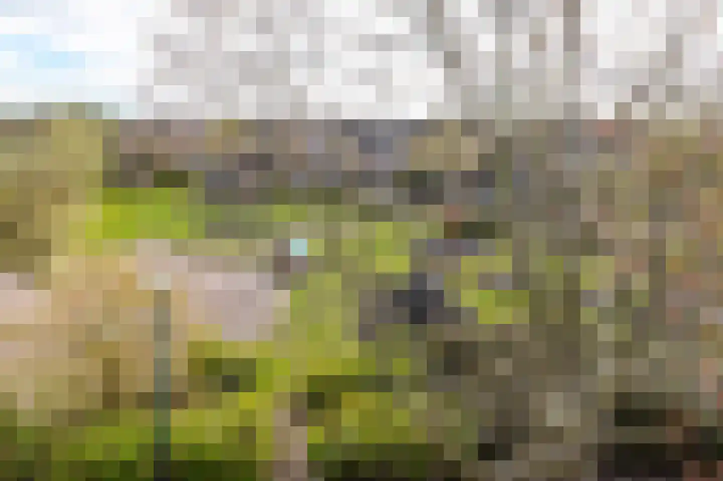 Hella Haasseplantsoen 9 Oegstgeest thumbnail 31
