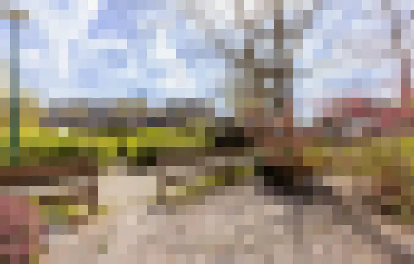 Hella Haasseplantsoen 9 Oegstgeest thumbnail 32