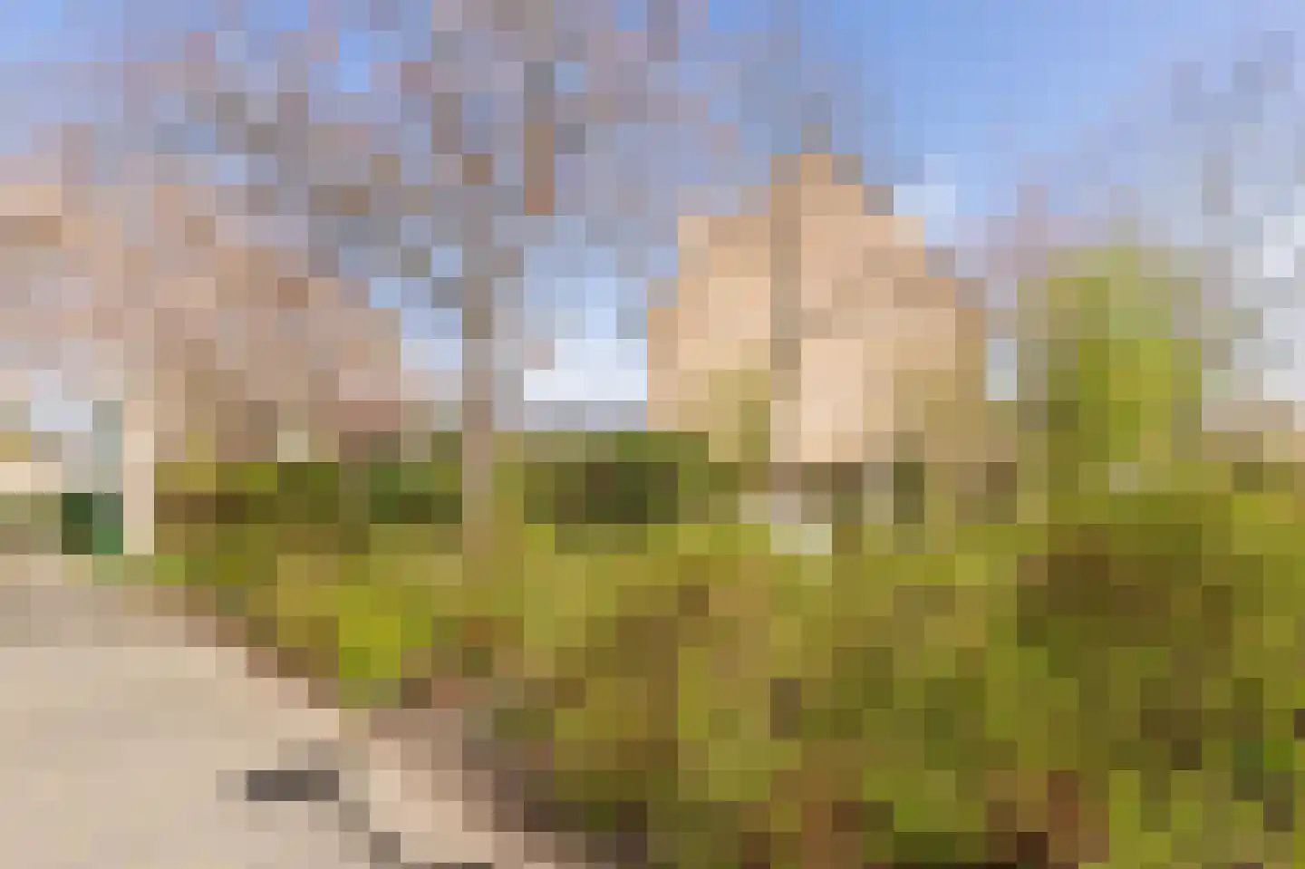 Hella Haasseplantsoen 9 Oegstgeest thumbnail 34