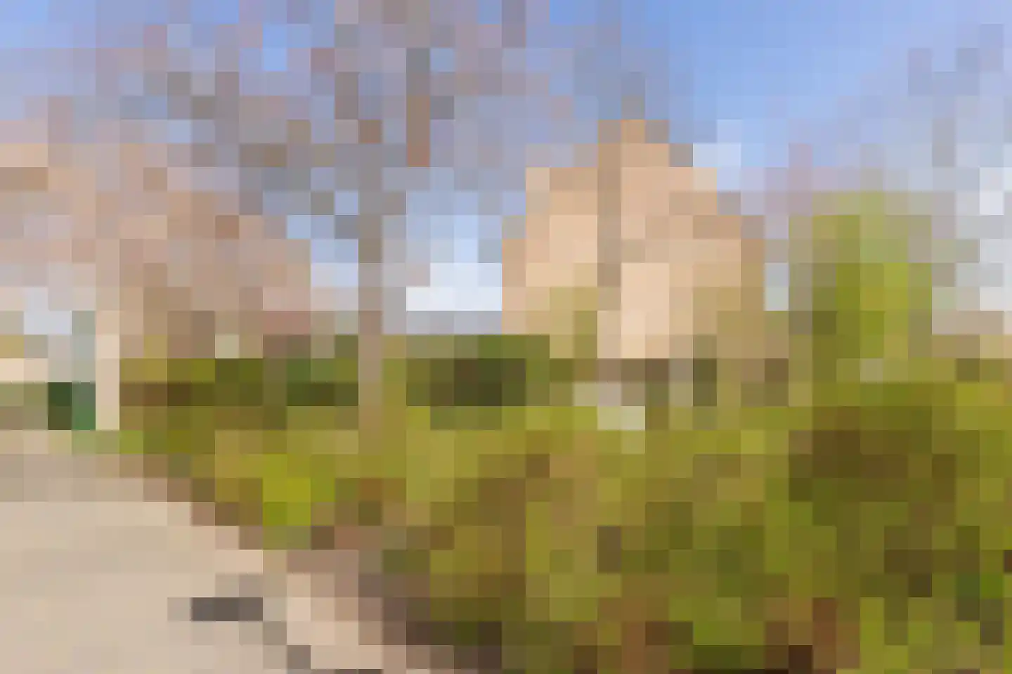Hella Haasseplantsoen 9 Oegstgeest thumbnail 34