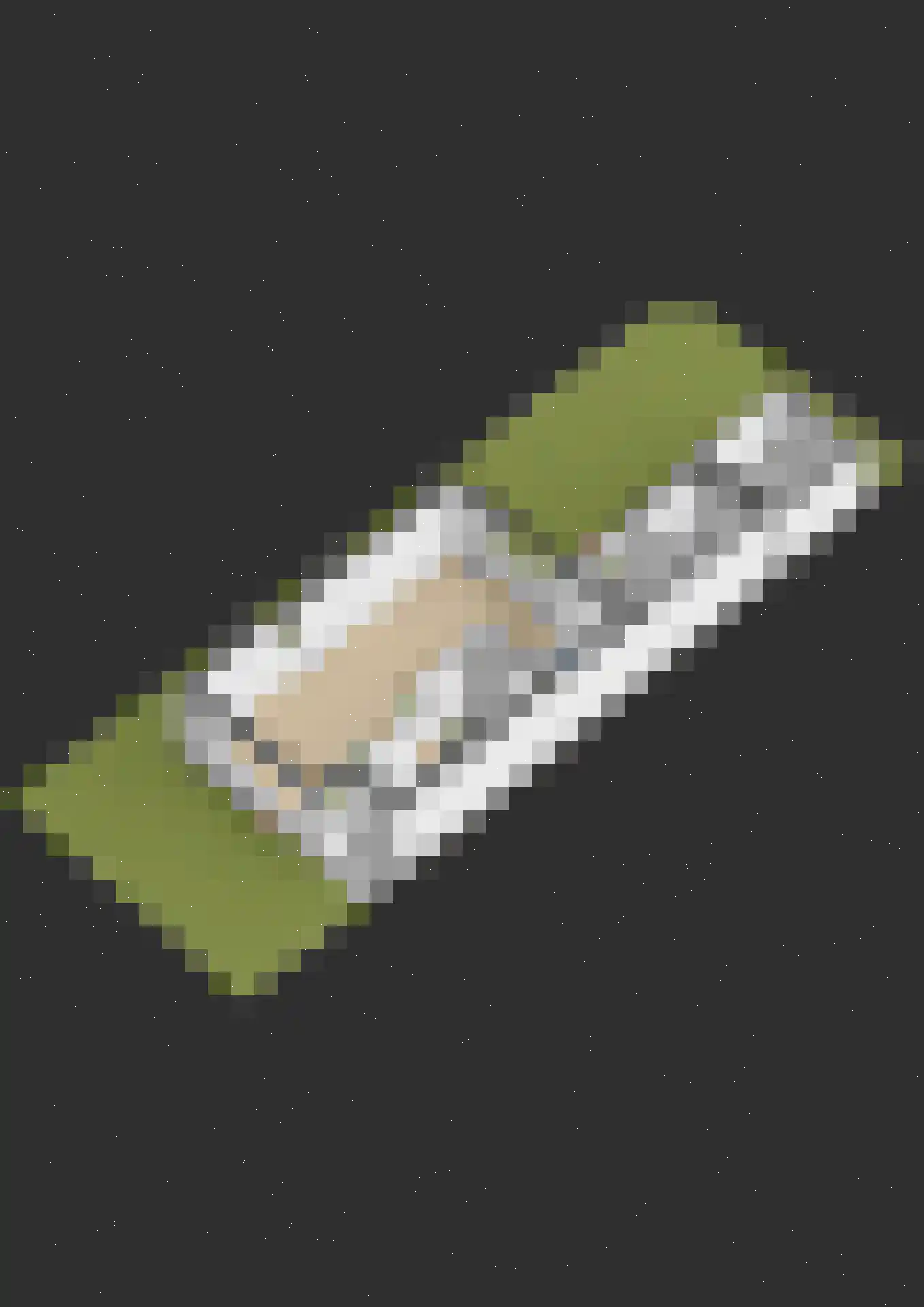 Hella Haasseplantsoen 9 Oegstgeest thumbnail 46